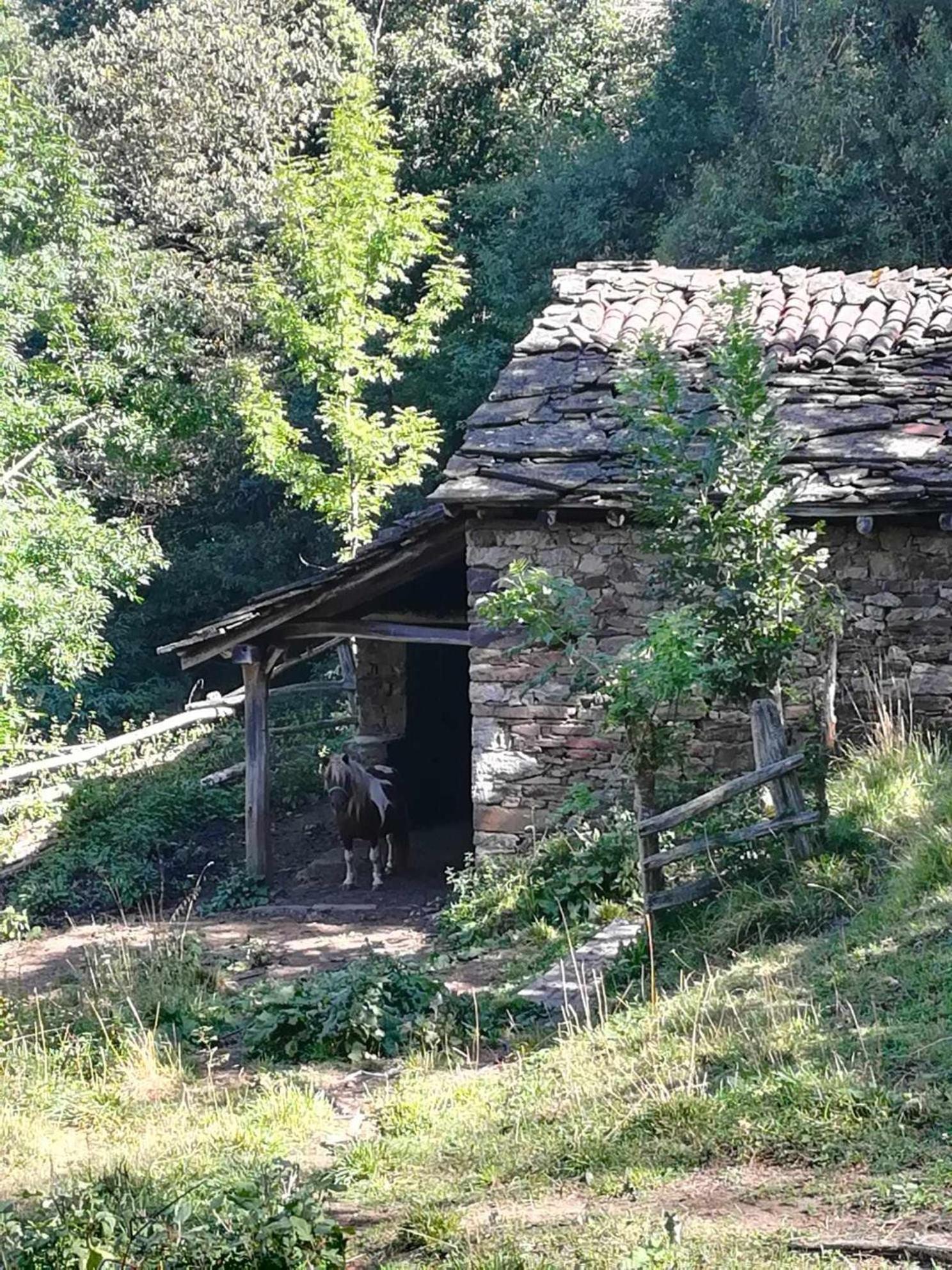 Asturias Boho Chic Aller Exterior foto