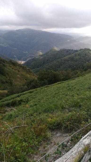 Asturias Boho Chic Aller Exterior foto